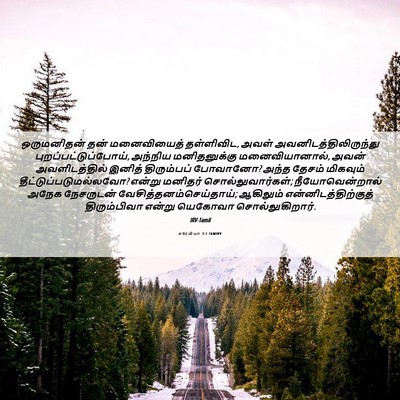 Picture 06 - எரேமியா 3:1 TAMIRV - ஒருமனிதன் தன் - Bible Verse Picture