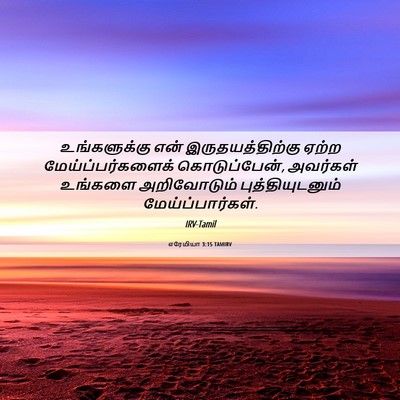 Picture 06 - எரேமியா 3:15 TAMIRV - உங்களுக்கு என் - Bible Verse Picture