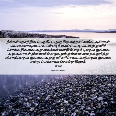 Picture 06 - எரேமியா 3:16 TAMIRV - நீங்கள் தேசத்தில் - Bible Verse Picture