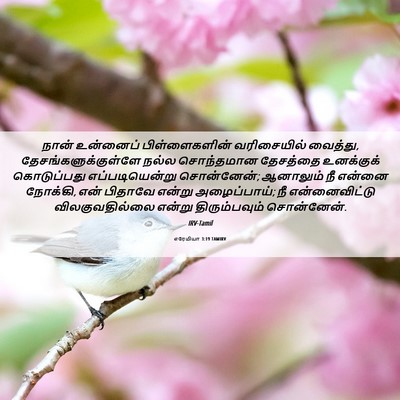 Picture 06 - எரேமியா 3:19 TAMIRV - நான் உன்னைப் - Bible Verse Picture