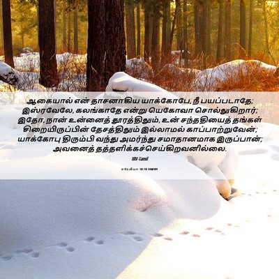 Picture 06 - எரேமியா 30:10 TAMIRV - ஆகையால் என் - Bible Verse Picture