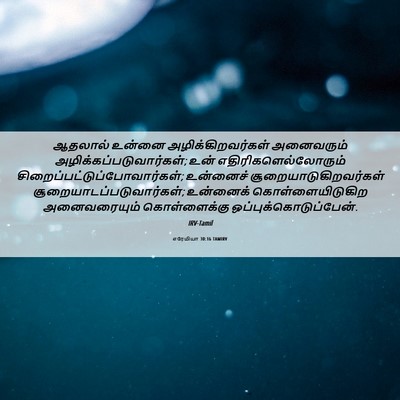 Picture 06 - எரேமியா 30:16 TAMIRV - ஆதலால் உன்னை - Bible Verse Picture