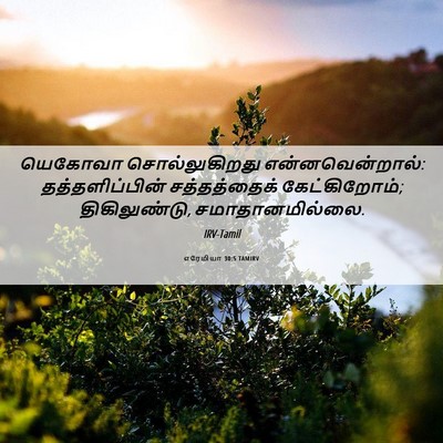 Picture 06 - எரேமியா 30:5 TAMIRV - யெகோவா - Bible Verse Picture