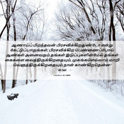 Picture 06 - எரேமியா 30:6 TAMIRV - ஆணாய்ப் பிறந்தவன் - Bible Verse Picture