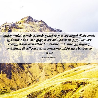 Picture 06 - எரேமியா 30:8 TAMIRV - அந்நாளில் நான் - Bible Verse Picture
