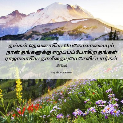 Picture 06 - எரேமியா 30:9 TAMIRV - தங்கள் தேவனாகிய - Bible Verse Picture