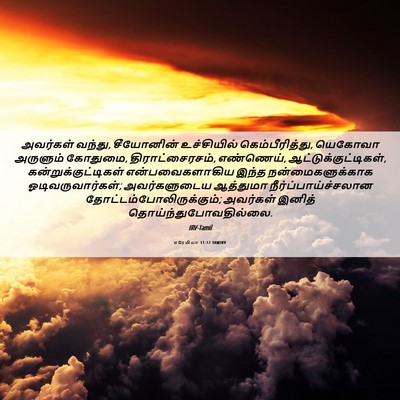 Picture 06 - எரேமியா 31:12 TAMIRV - அவர்கள் வந்து, - Bible Verse Picture