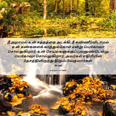Picture 06 - எரேமியா 31:16 TAMIRV - நீ அழாமல் உன் - Bible Verse Picture