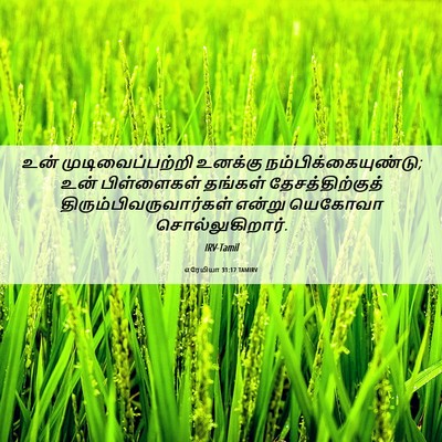 Picture 06 - எரேமியா 31:17 TAMIRV - உன் முடிவைப்பற்றி - Bible Verse Picture