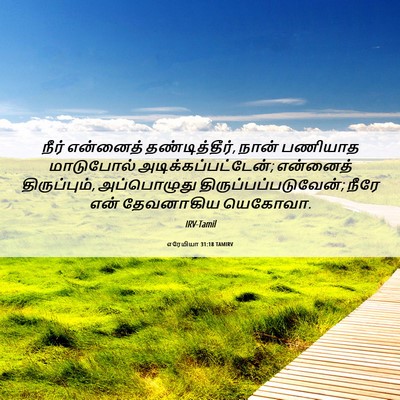Picture 06 - எரேமியா 31:18 TAMIRV - நீர் என்னைத் - Bible Verse Picture