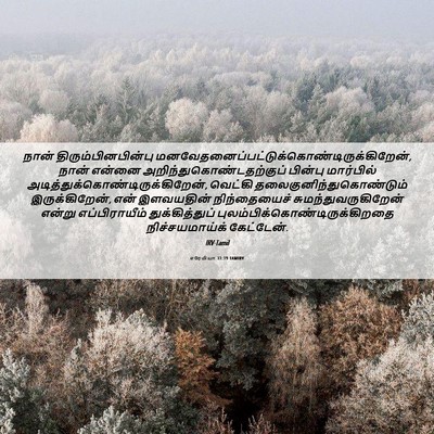 Picture 06 - எரேமியா 31:19 TAMIRV - நான் - Bible Verse Picture