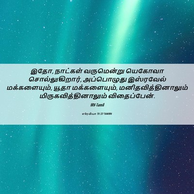 Picture 06 - எரேமியா 31:27 TAMIRV - இதோ, நாட்கள் - Bible Verse Picture