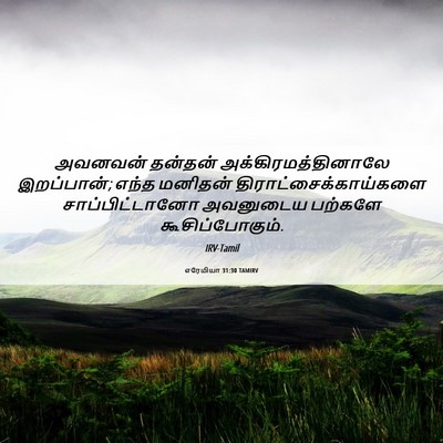 Picture 06 - எரேமியா 31:30 TAMIRV - அவனவன் தன்தன் - Bible Verse Picture
