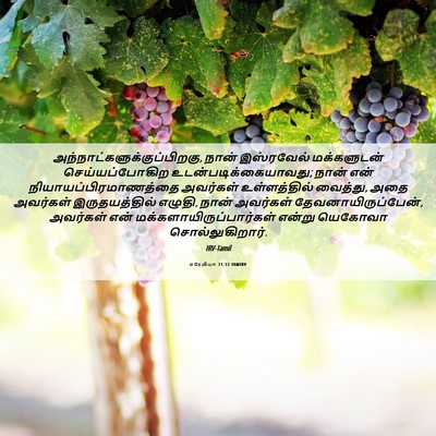 Picture 06 - எரேமியா 31:33 TAMIRV -  - Bible Verse Picture