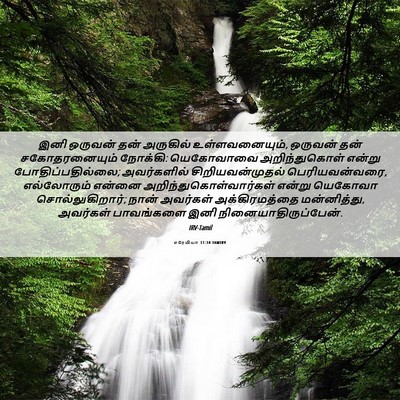 Picture 06 - எரேமியா 31:34 TAMIRV - இனி ஒருவன் தன் - Bible Verse Picture