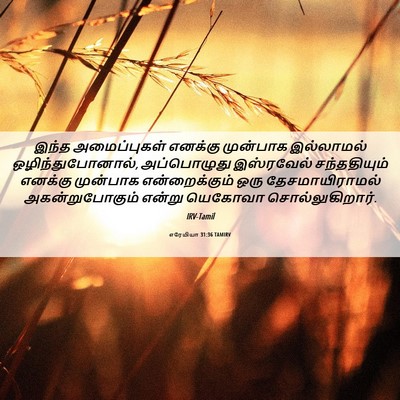 Picture 06 - எரேமியா 31:36 TAMIRV - இந்த அமைப்புகள் - Bible Verse Picture