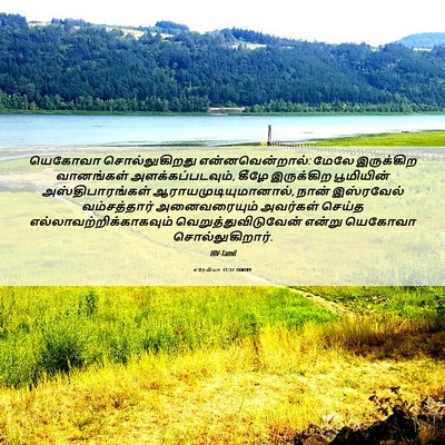 Picture 06 - எரேமியா 31:37 TAMIRV - யெகோவா - Bible Verse Picture