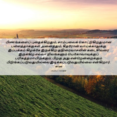 Picture 06 - எரேமியா 31:40 TAMIRV - பிணங்களைப் - Bible Verse Picture
