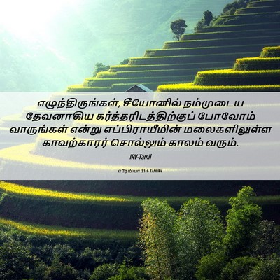 Picture 06 - எரேமியா 31:6 TAMIRV - எழுந்திருங்கள், - Bible Verse Picture