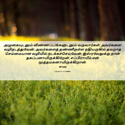 Picture 06 - எரேமியா 31:9 TAMIRV - அழுகையுடனும் - Bible Verse Picture