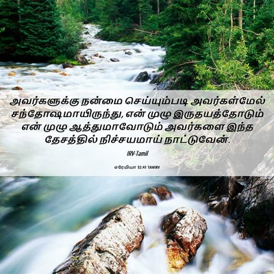Picture 06 - எரேமியா 32:41 TAMIRV - அவர்களுக்கு நன்மை - Bible Verse Picture