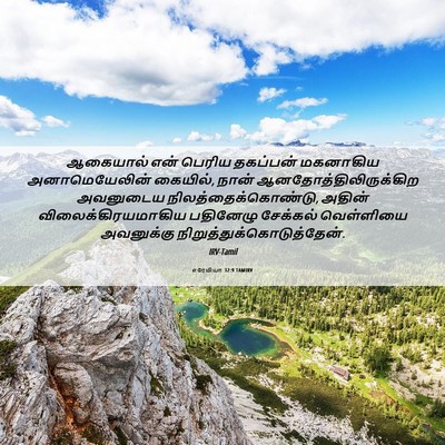 Picture 06 - எரேமியா 32:9 TAMIRV - ஆகையால் என் பெரிய - Bible Verse Picture