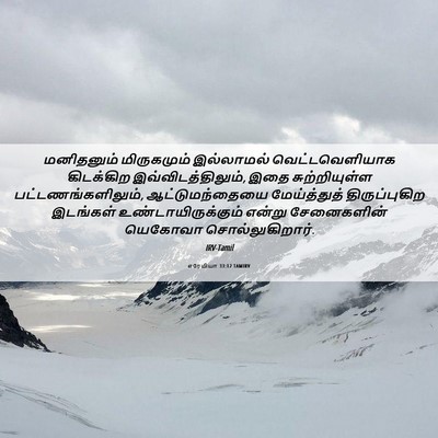 Picture 06 - எரேமியா 33:12 TAMIRV - மனிதனும் - Bible Verse Picture