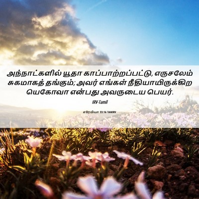 Picture 06 - எரேமியா 33:16 TAMIRV - அந்நாட்களில் யூதா - Bible Verse Picture