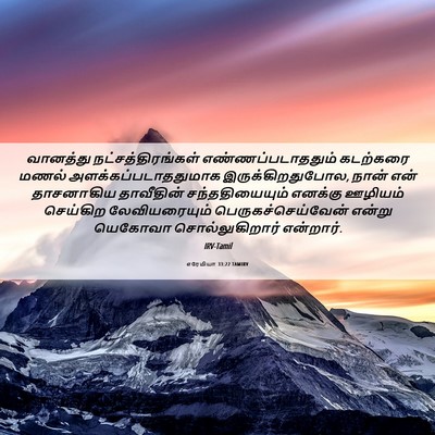 Picture 06 - எரேமியா 33:22 TAMIRV - வானத்து - Bible Verse Picture