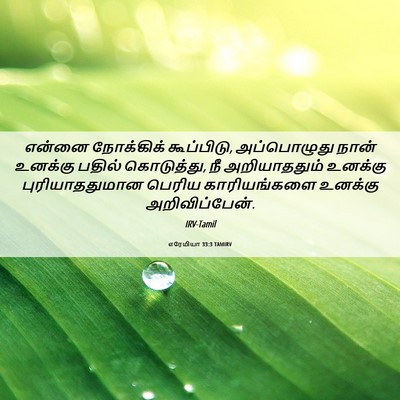 Picture 06 - எரேமியா 33:3 TAMIRV - என்னை நோக்கிக் - Bible Verse Picture