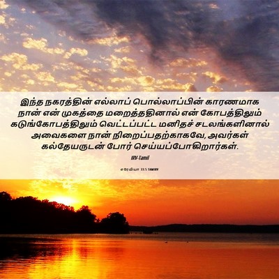 Picture 06 - எரேமியா 33:5 TAMIRV - இந்த நகரத்தின் - Bible Verse Picture