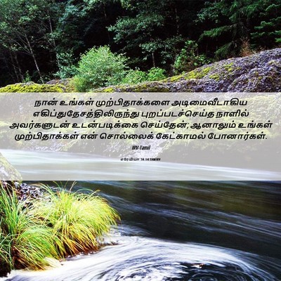 Picture 06 - எரேமியா 34:14 TAMIRV - நான் உங்கள் - Bible Verse Picture