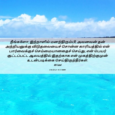 Picture 06 - எரேமியா 34:15 TAMIRV - நீங்களோ, - Bible Verse Picture