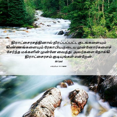 Picture 06 - எரேமியா 35:5 TAMIRV -  - Bible Verse Picture