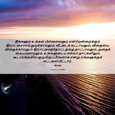 Picture 06 - எரேமியா 35:7 TAMIRV - நீங்களும் உங்கள் - Bible Verse Picture