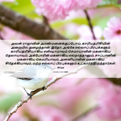Picture 06 - எரேமியா 36:12 TAMIRV - அவன் ராஜாவின் - Bible Verse Picture