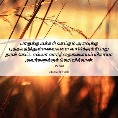 Picture 06 - எரேமியா 36:13 TAMIRV - பாருக்கு மக்கள் - Bible Verse Picture