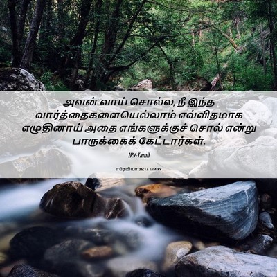 Picture 06 - எரேமியா 36:17 TAMIRV - அவன் வாய் சொல்ல, நீ - Bible Verse Picture