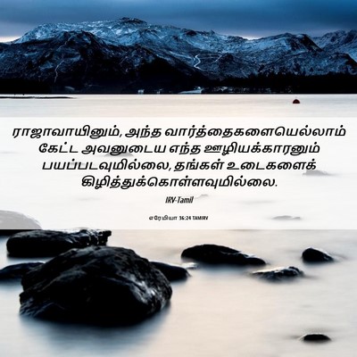 Picture 06 - எரேமியா 36:24 TAMIRV - ராஜாவாயினும், - Bible Verse Picture