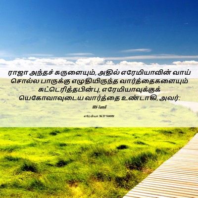 Picture 06 - எரேமியா 36:27 TAMIRV - ராஜா அந்தச் - Bible Verse Picture