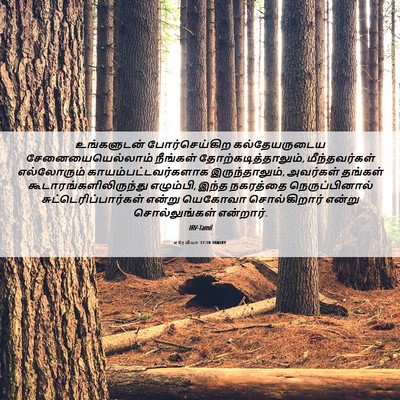Picture 06 - எரேமியா 37:10 TAMIRV - உங்களுடன் - Bible Verse Picture