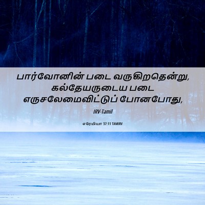 Picture 06 - எரேமியா 37:11 TAMIRV - பார்வோனின் படை - Bible Verse Picture