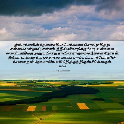 Picture 06 - எரேமியா 37:7 TAMIRV - இஸ்ரவேலின் - Bible Verse Picture