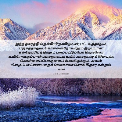 Picture 06 - எரேமியா 38:1 TAMIRV - இந்த நகரத்தில் - Bible Verse Picture