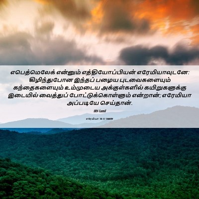 Picture 06 - எரேமியா 38:12 TAMIRV - எபெத்மெலேக் - Bible Verse Picture