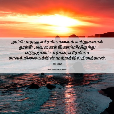 Picture 06 - எரேமியா 38:13 TAMIRV - அப்பொழுது - Bible Verse Picture