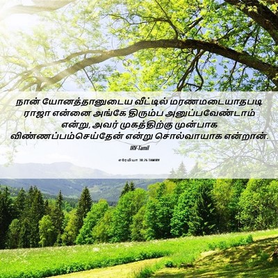 Picture 06 - எரேமியா 38:26 TAMIRV - நான் யோனத்தானுடைய - Bible Verse Picture
