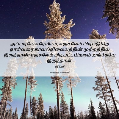 Picture 06 - எரேமியா 38:28 TAMIRV - அப்படியே எரேமியா, - Bible Verse Picture