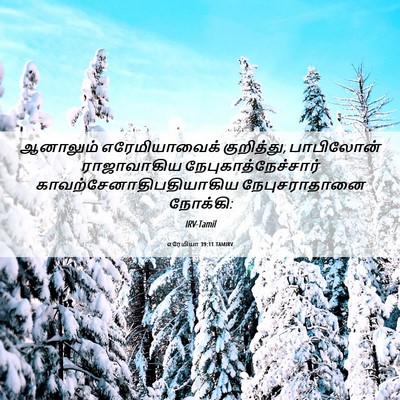 Picture 06 - எரேமியா 39:11 TAMIRV - ஆனாலும் - Bible Verse Picture