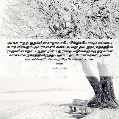 Picture 06 - எரேமியா 39:4 TAMIRV - அப்பொழுது - Bible Verse Picture